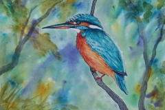 Brusho-Paint-Kingfisher