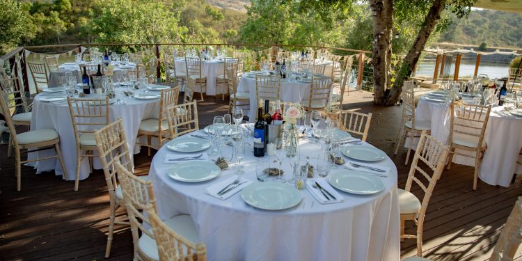 Wedding tables under mature carob trees