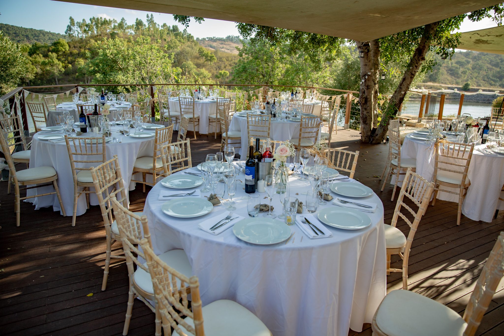 Wedding tables under mature carob trees