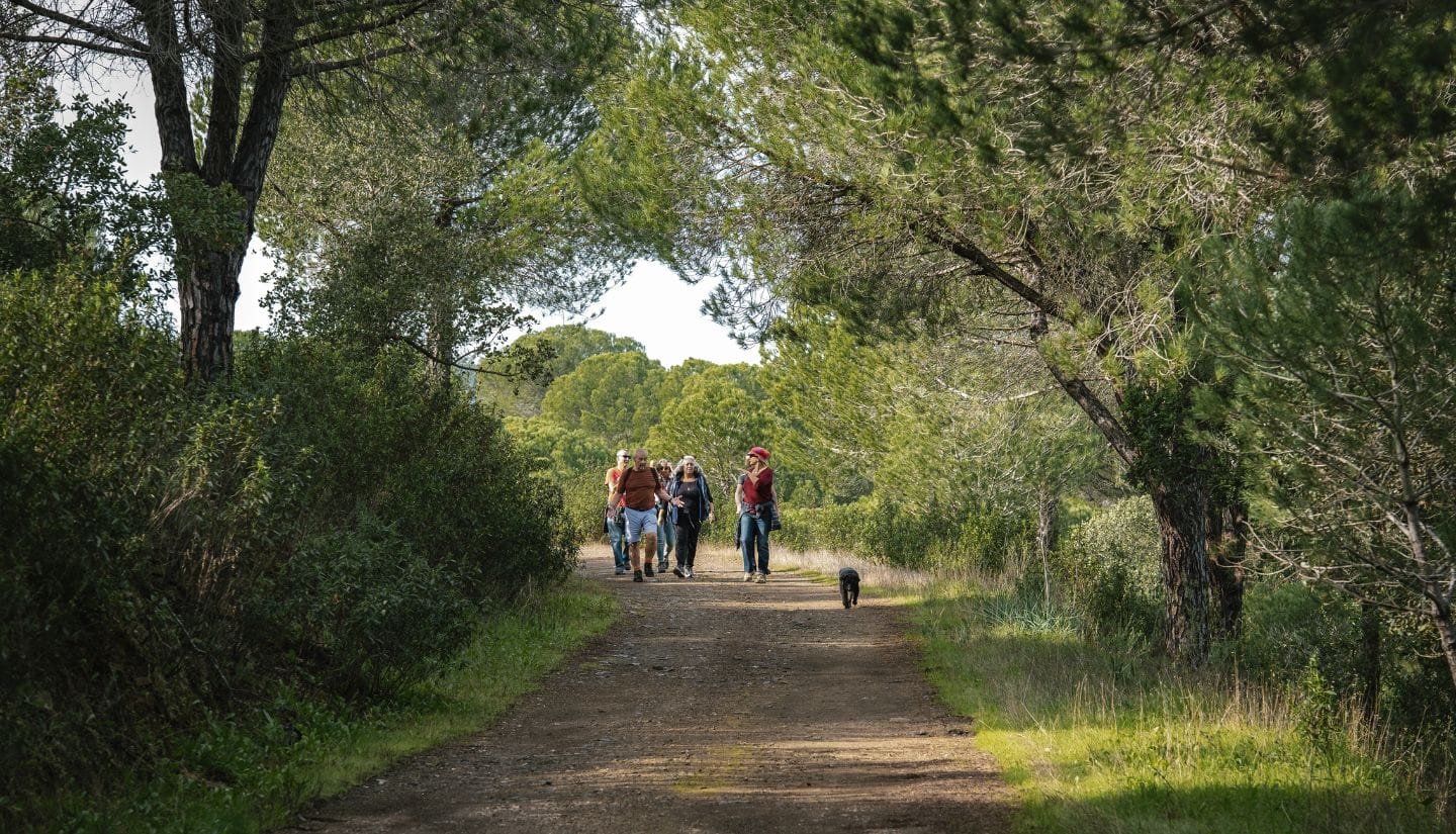 Guests enjoying a guided countryside walk through pine forests near Figs on the Funcho, part of a relaxing Algarve retreat experience combining nature and wellbeing.