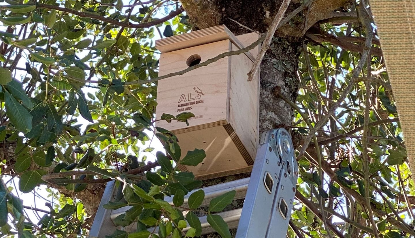 Handmade wooden bird box installed in a fig tree during a nature workshop at Figs on the Funcho in the Algarve